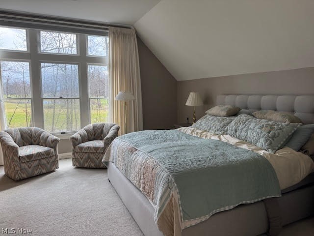 600 The Greens NE Howland OH 44484