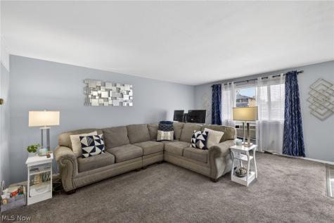 1529 Lee Terrace Drive Wickliffe OH 44092