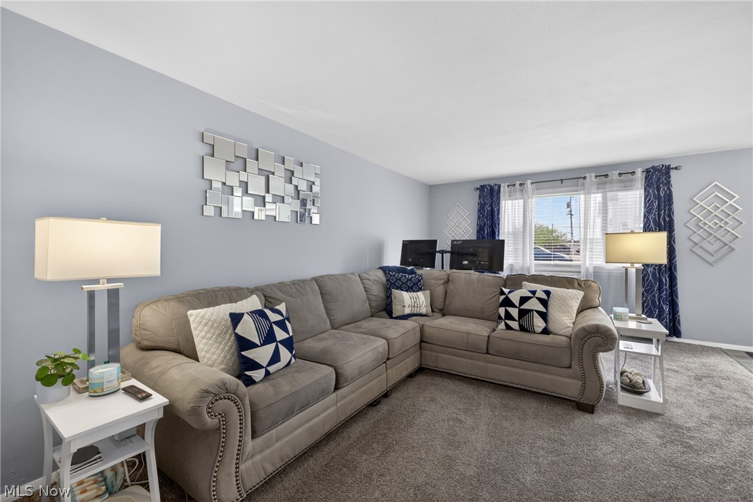 1529 Lee Terrace Drive Wickliffe OH 44092
