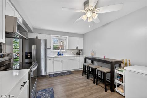 1529 Lee Terrace Drive Wickliffe OH 44092