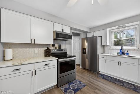 1529 Lee Terrace Drive Wickliffe OH 44092