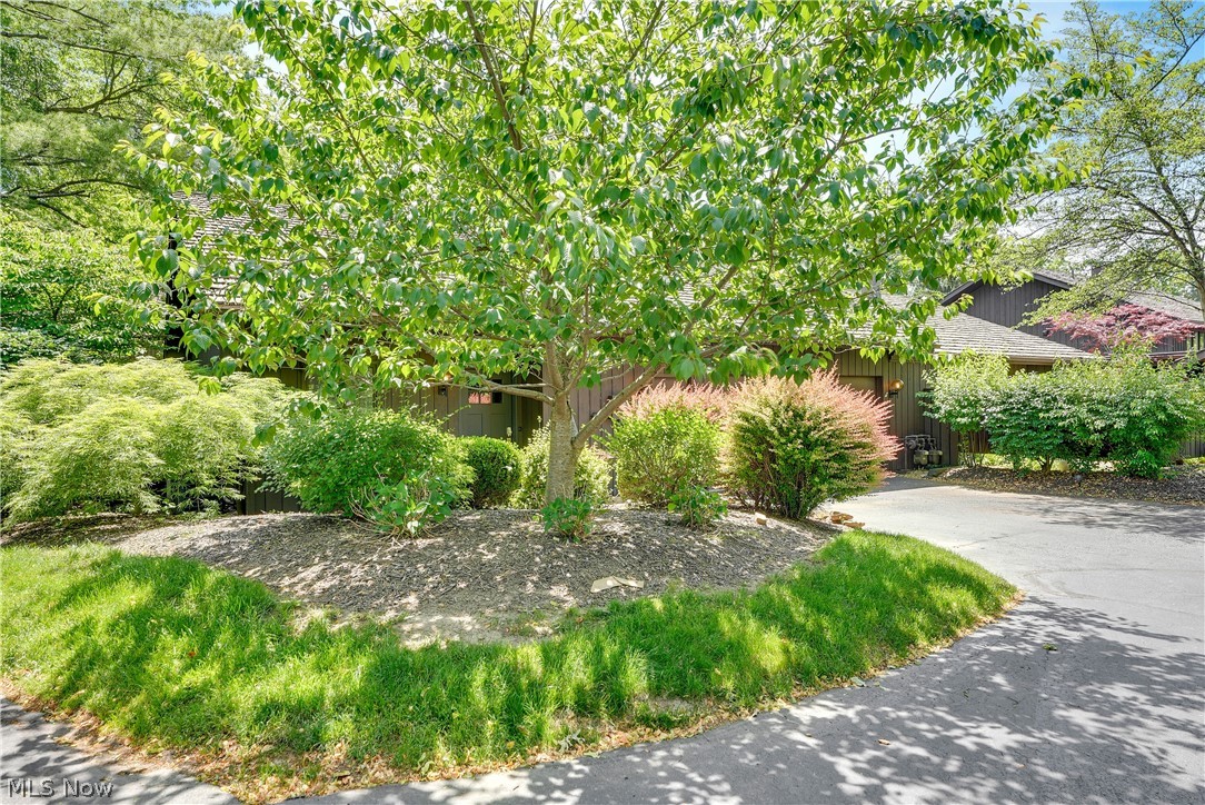 455-55 Meadowview Drive Aurora OH 44202