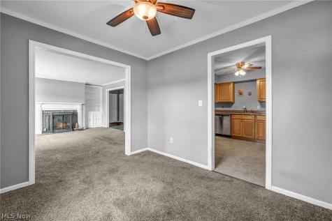 3 Meadowlawn Drive Mentor OH 44060