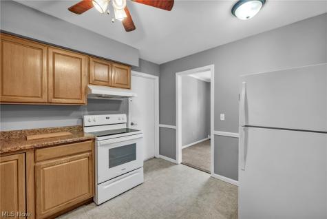 3 Meadowlawn Drive Mentor OH 44060
