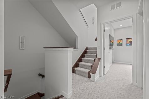 3114 Vine Court Cleveland OH 44113