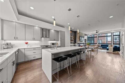 3114 Vine Court Cleveland OH 44113