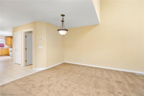 1467 Winged Foot Drive Brunswick OH 44212
