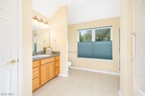 1467 Winged Foot Drive Brunswick OH 44212