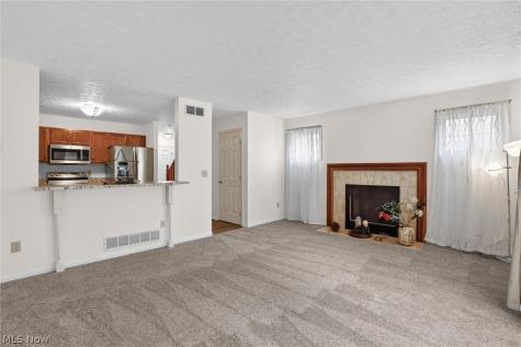 9995 Beverly Lane Streetsboro OH 44241