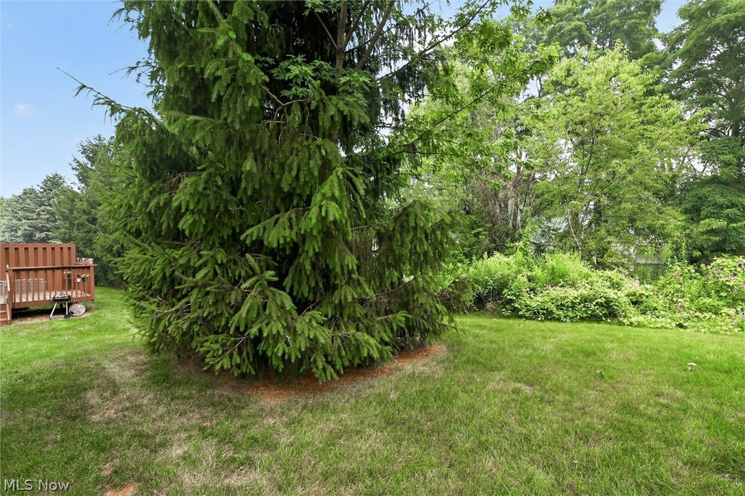 9995 Beverly Lane Streetsboro OH 44241