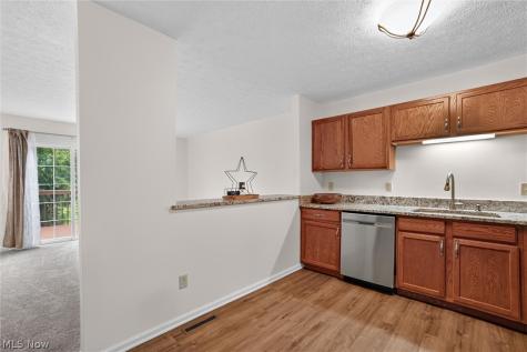 9995 Beverly Lane Streetsboro OH 44241