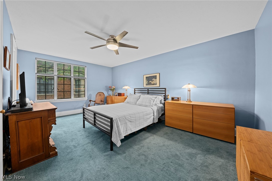 2517 Overlook Road Cleveland Heights OH 44106