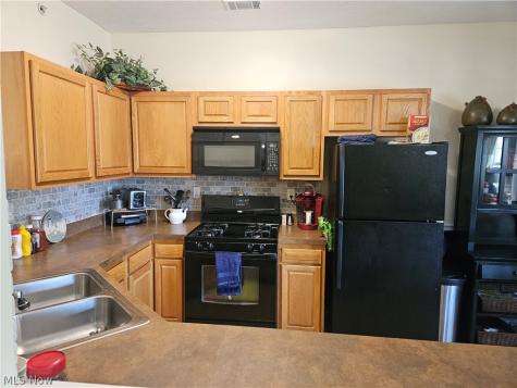 718 Aqua Marine Boulevard Avon Lake OH 44012