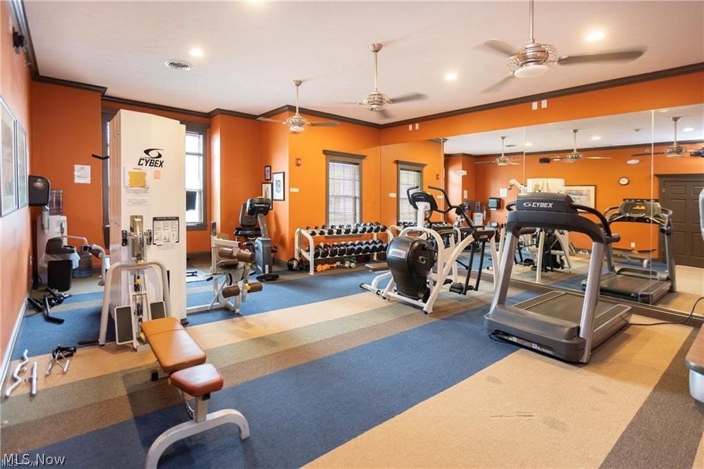 718 Aqua Marine Boulevard Avon Lake OH 44012