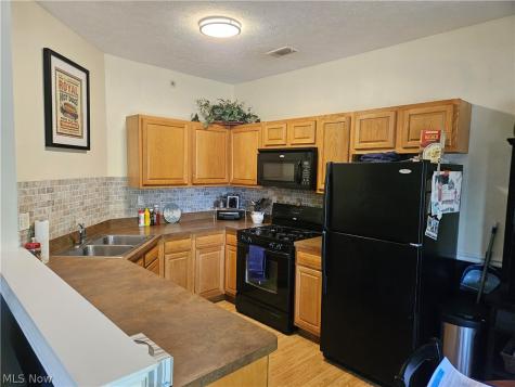 718 Aqua Marine Boulevard Avon Lake OH 44012