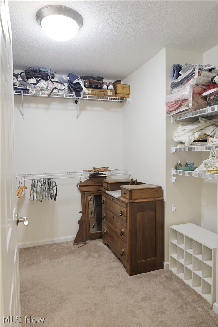 171 Briar Wood Drive Mount Vernon OH 43050