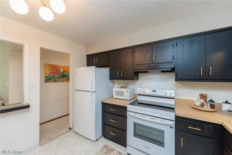 132 Kimrose Lane Broadview Heights OH 44147