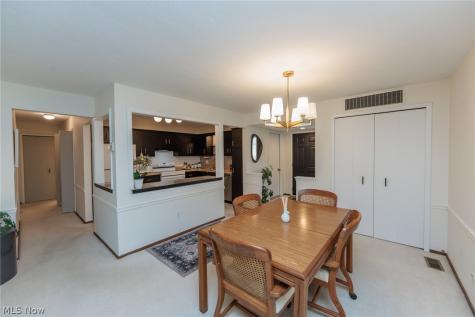 132 Kimrose Lane Broadview Heights OH 44147