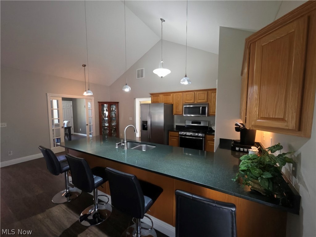 3235 Elizabeth Drive Perry OH 44081