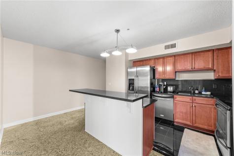 2222 Detroit Avenue Cleveland OH 44113