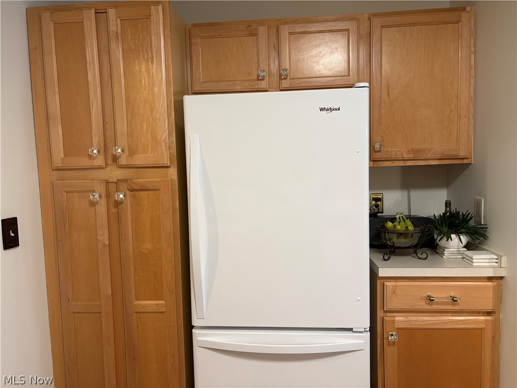 3162 Village Green Drive Westlake OH 44145
