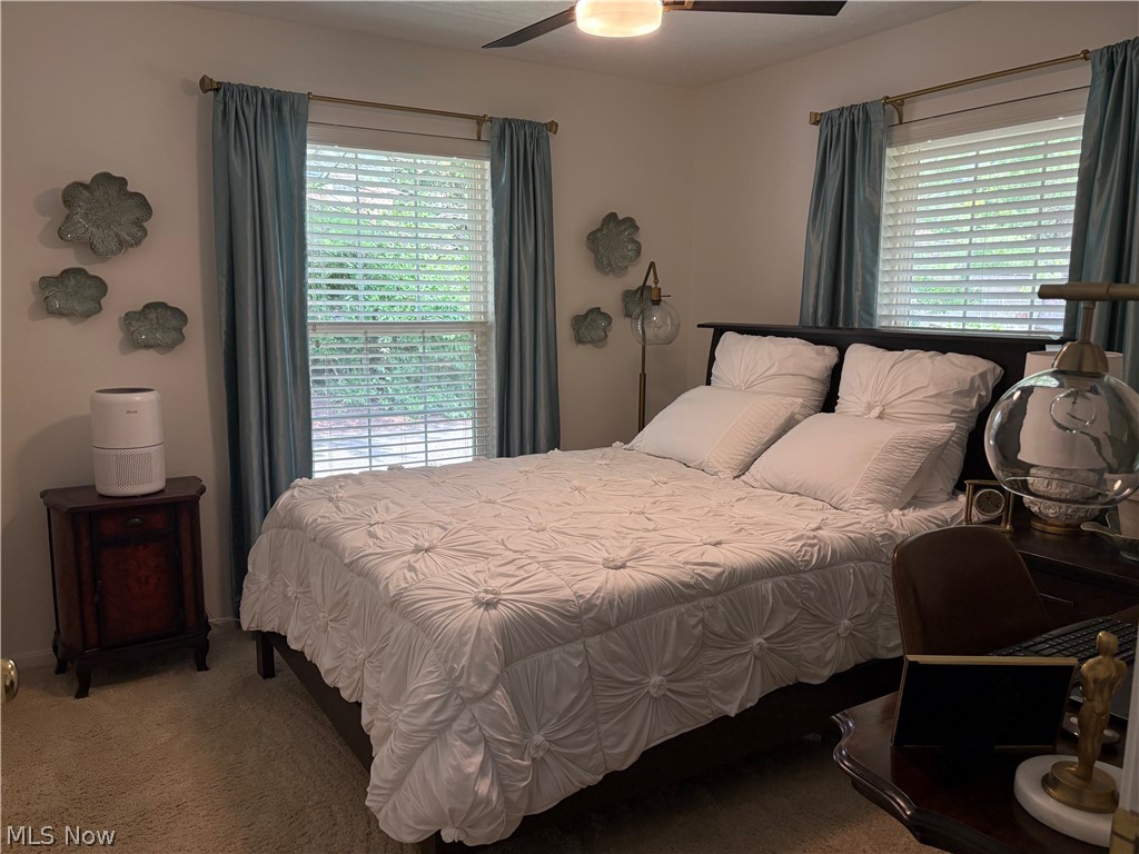 3162 Village Green Drive Westlake OH 44145