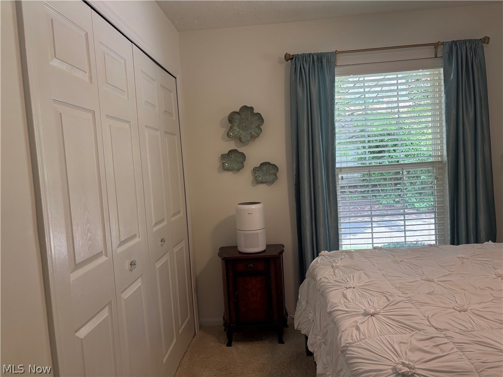 3162 Village Green Drive Westlake OH 44145