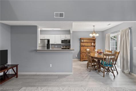 8720 Quailridge Court Macedonia OH 44056