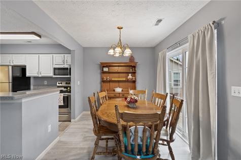 8720 Quailridge Court Macedonia OH 44056
