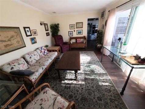 13 Meadowlawn Drive Mentor OH 44060