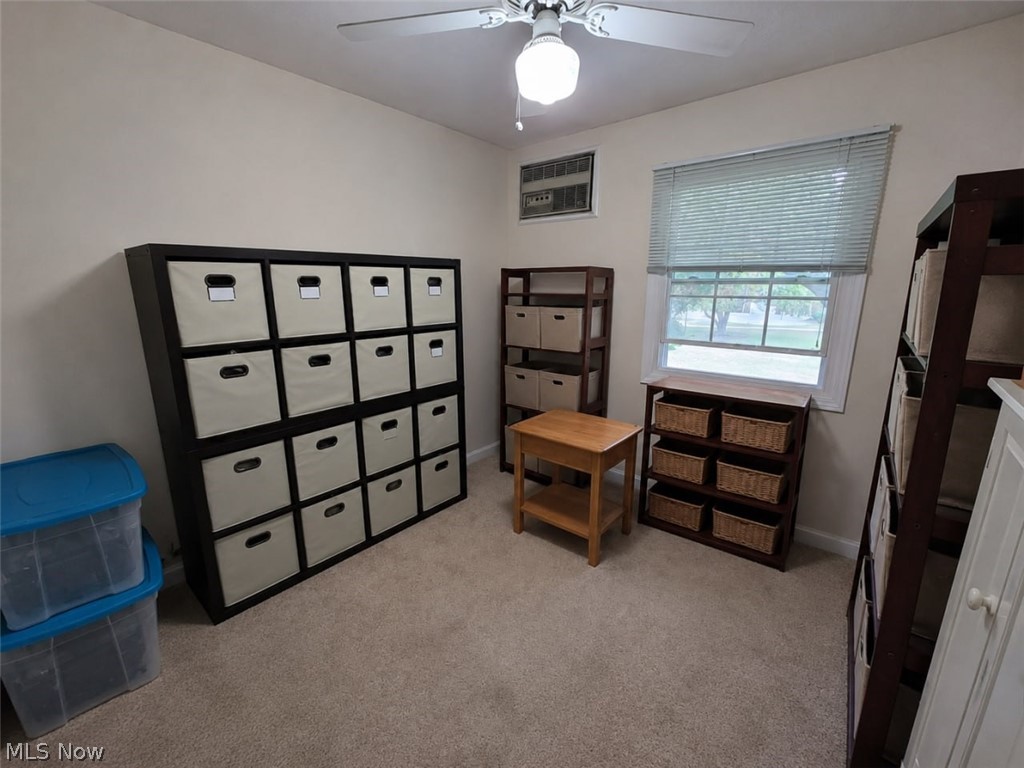 13 Meadowlawn Drive Mentor OH 44060