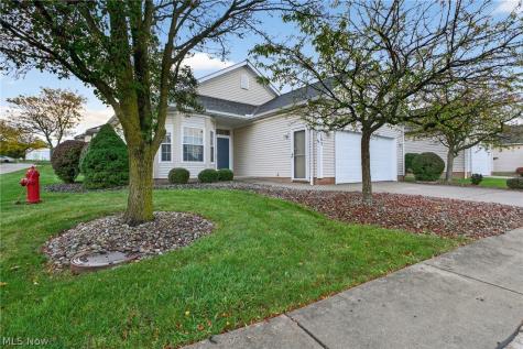 205 Village Drive Seven Hills OH 44131