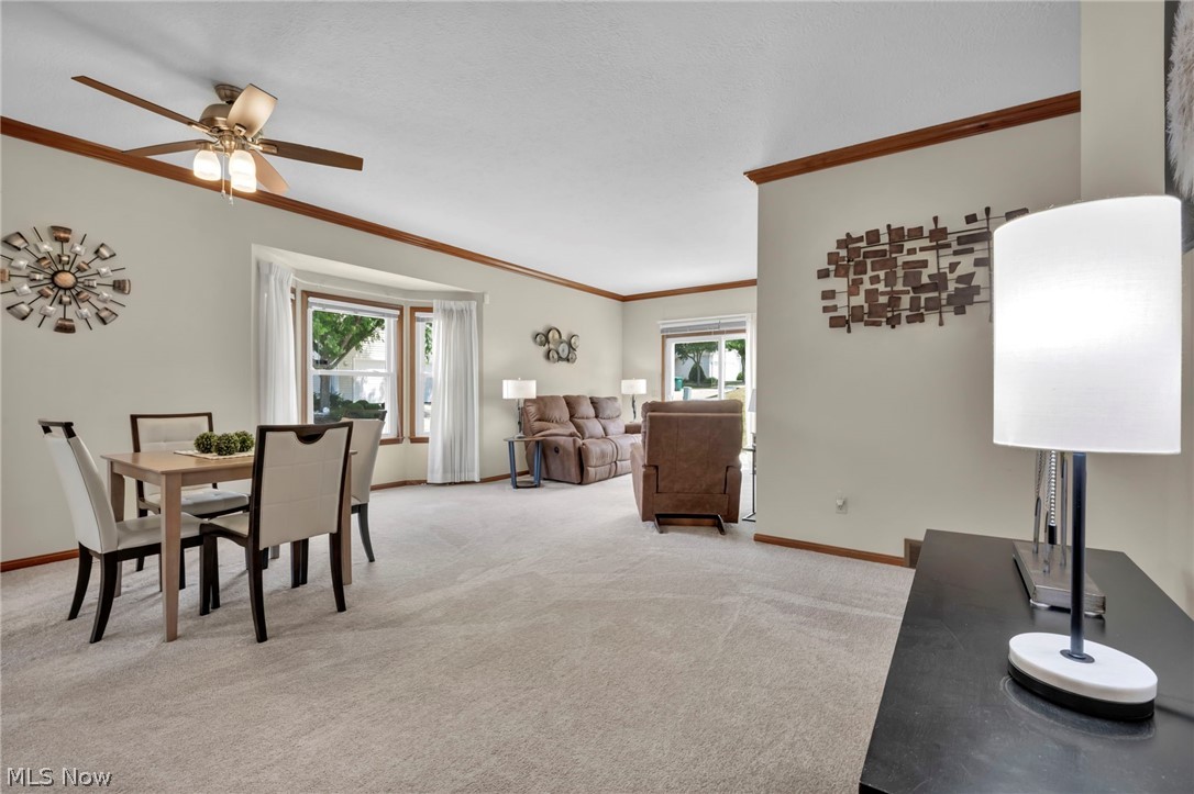 205 Village Drive Seven Hills OH 44131