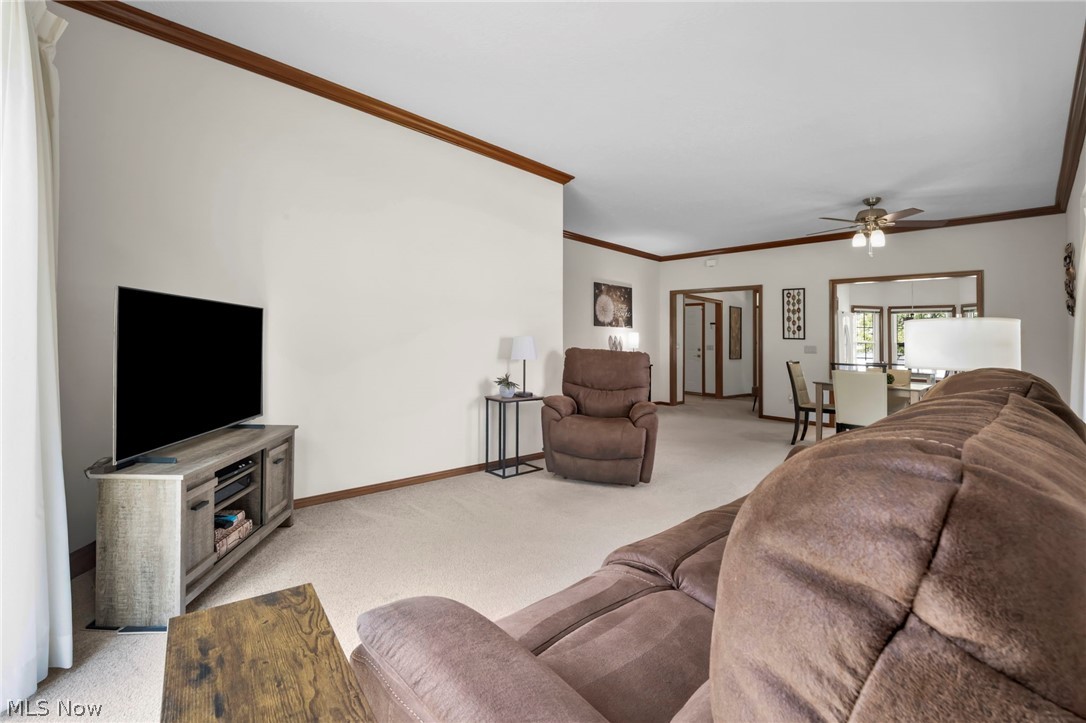 205 Village Drive Seven Hills OH 44131