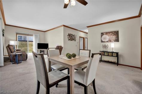 205 Village Drive Seven Hills OH 44131