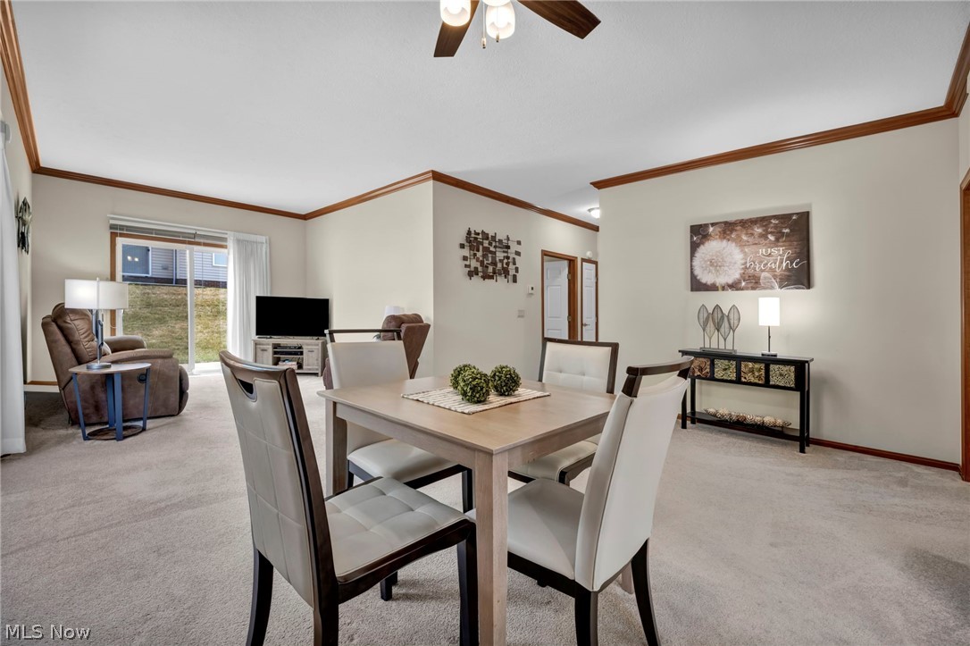 205 Village Drive Seven Hills OH 44131