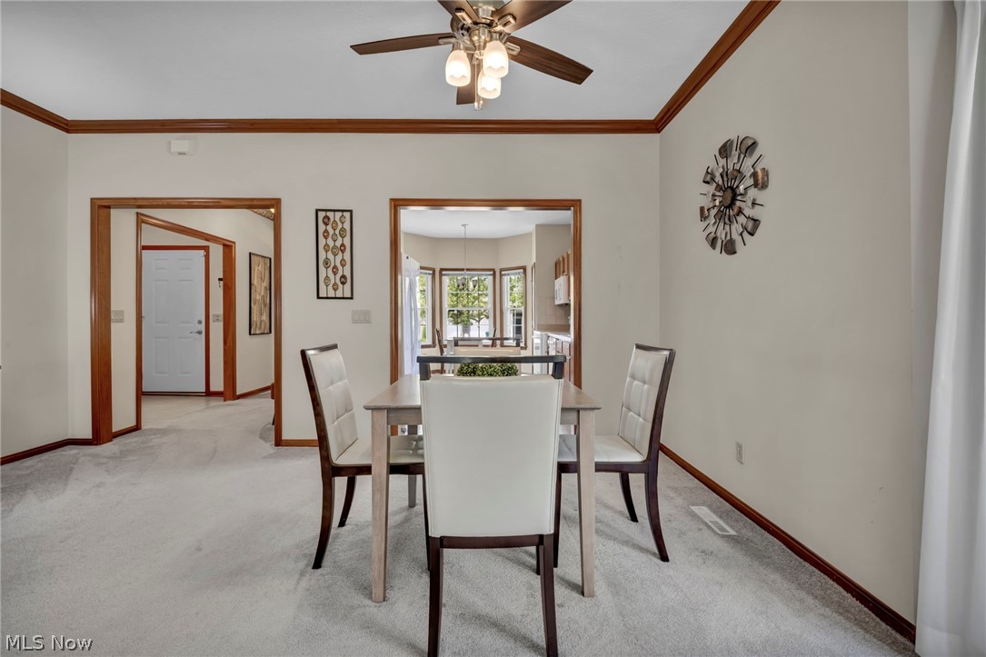 205 Village Drive Seven Hills OH 44131