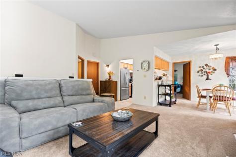 2002 Stoney Run Circle Broadview Heights OH 44147