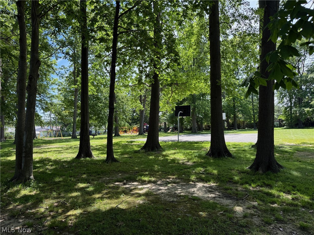 1582 Lee Terrace Drive Wickliffe OH 44092