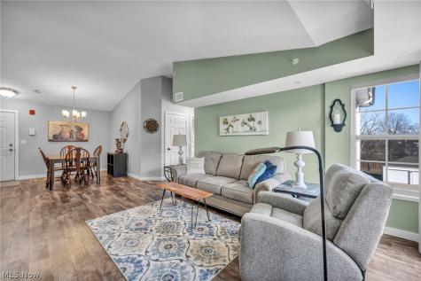 23002 Chandlers Lane Olmsted Falls OH 44138