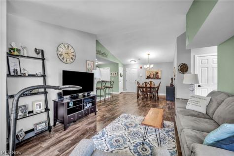 23002 Chandlers Lane Olmsted Falls OH 44138