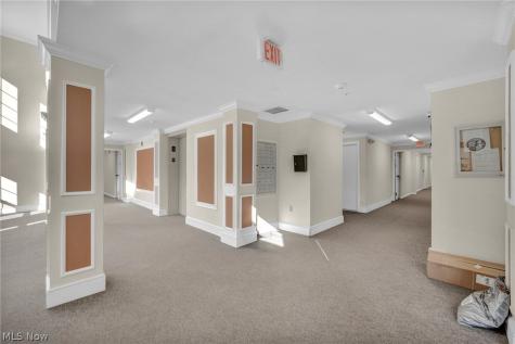 23002 Chandlers Lane Olmsted Falls OH 44138