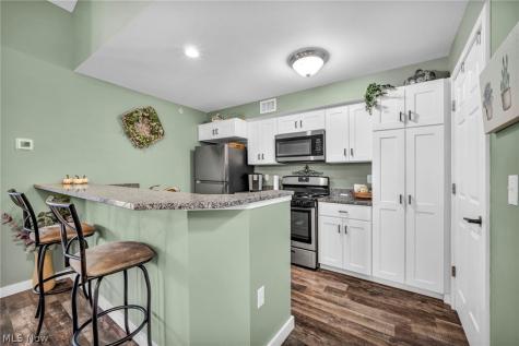 23002 Chandlers Lane Olmsted Falls OH 44138