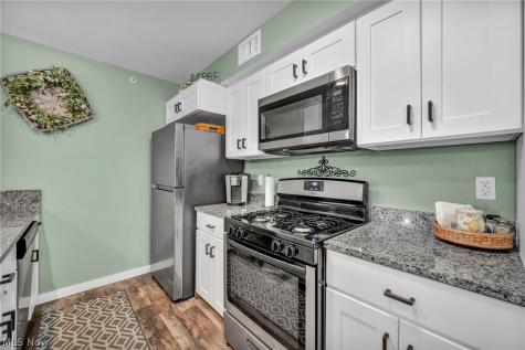 23002 Chandlers Lane Olmsted Falls OH 44138