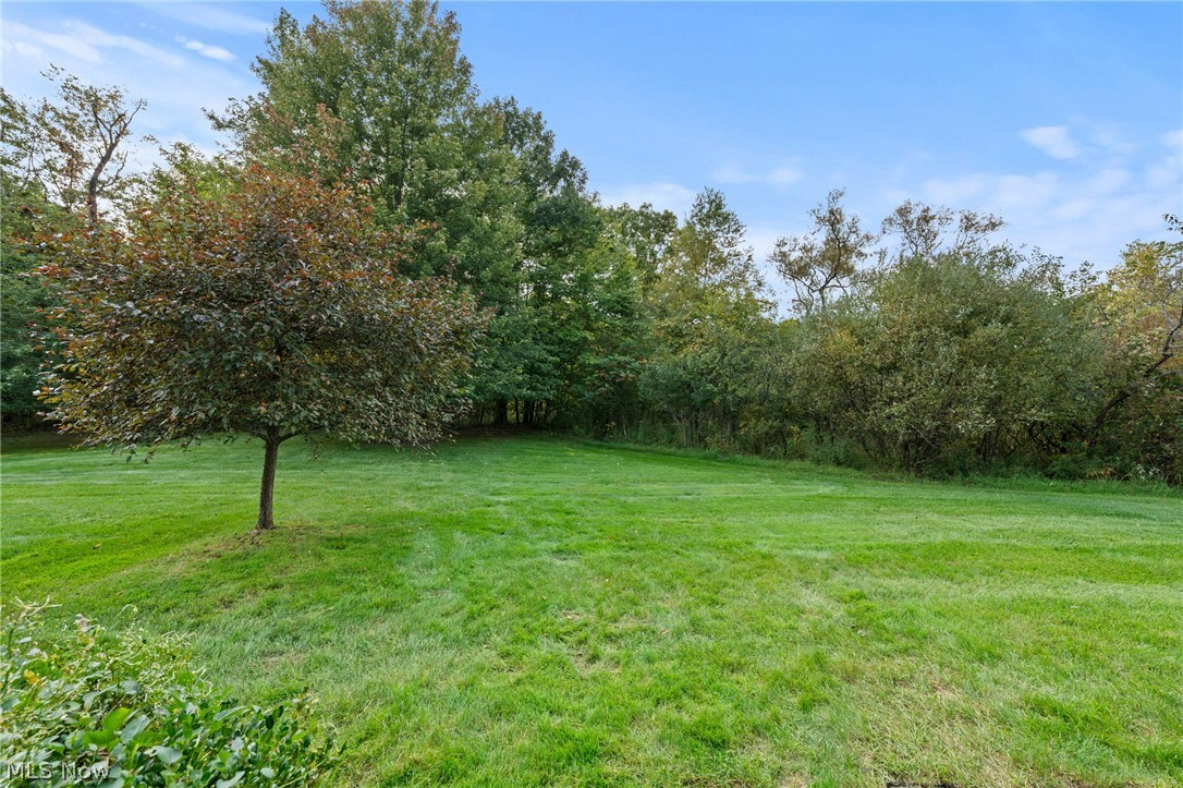16930 Knolls Way Chagrin Falls OH 44023