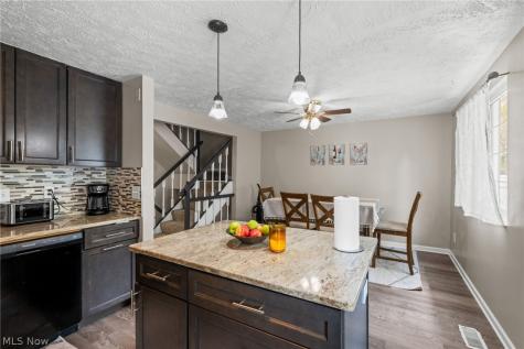 7390 Willow Run Drive Mentor OH 44060