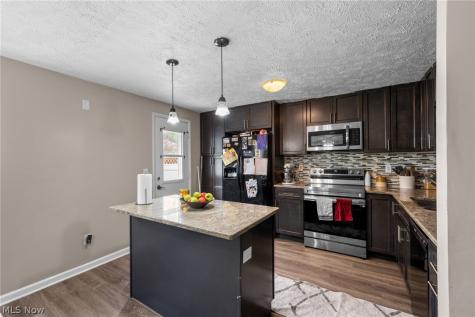 7390 Willow Run Drive Mentor OH 44060
