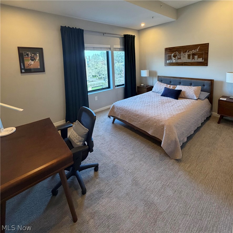 3110 Vine Court Cleveland OH 44113