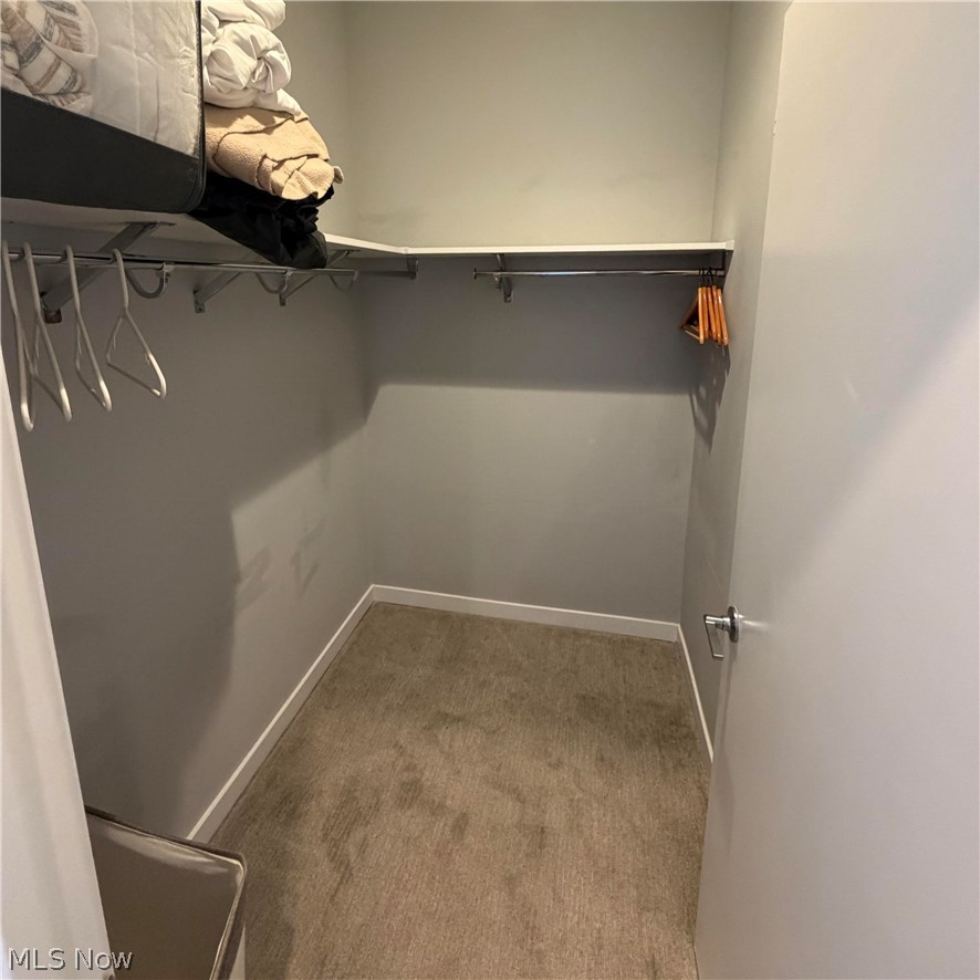 3110 Vine Court Cleveland OH 44113