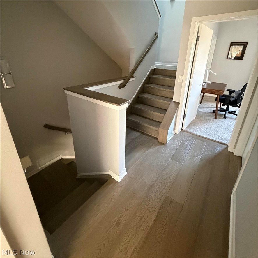 3110 Vine Court Cleveland OH 44113
